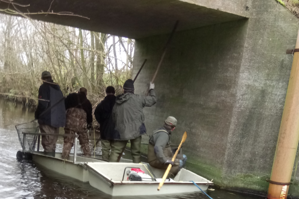 Her sejler flåden med besætning under den gamle bro i Vilsted og fiskeriet er lige straks i mål.